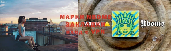 шишки Гусев