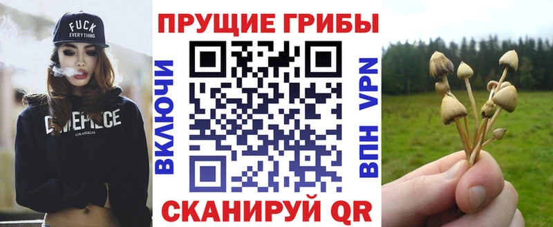 Псилоцибиновые грибы мицелий  сколько стоит  Лысково 